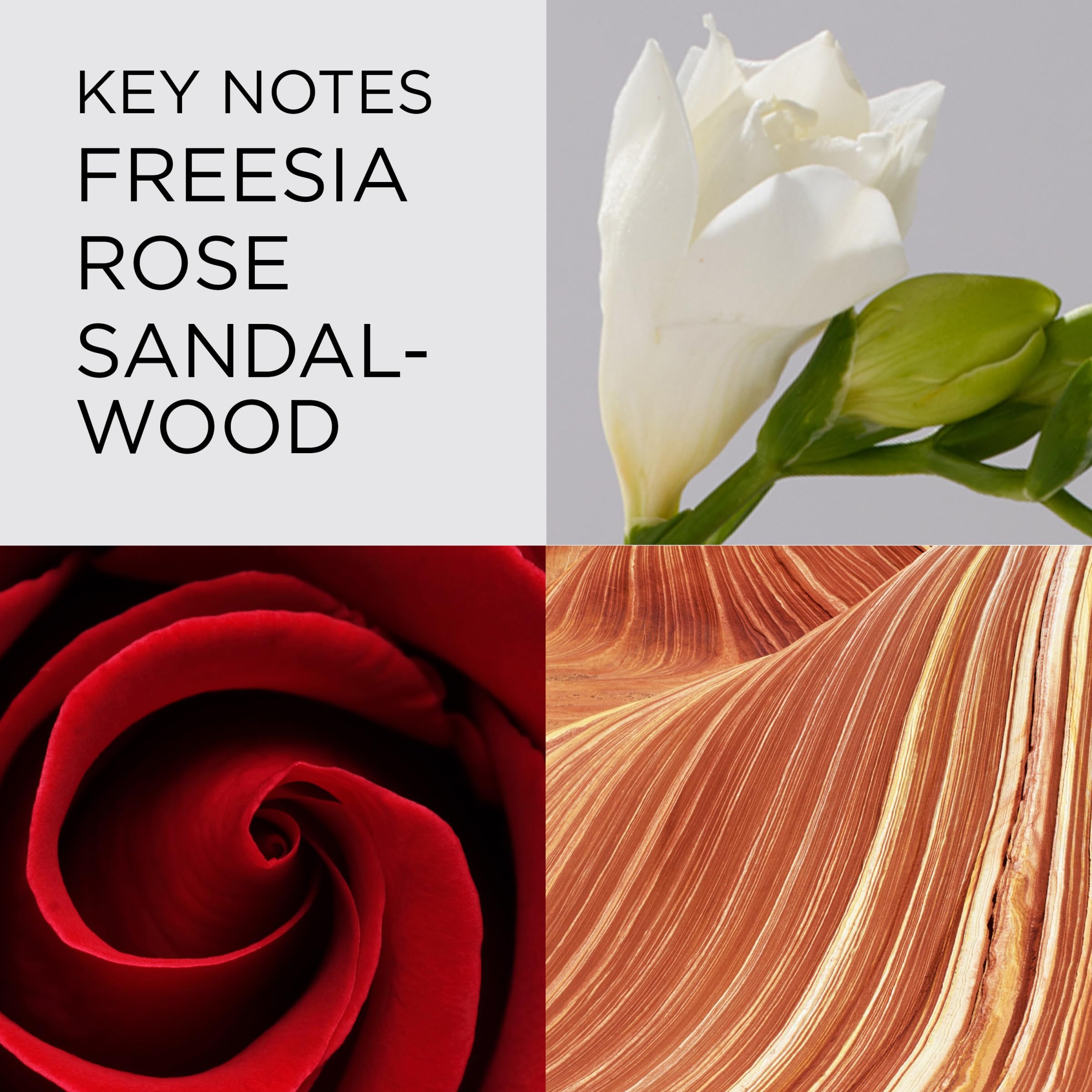 Elizabeth Arden Red Door Women's Perfume, Fragrance, Floral Parfum with Notes of Freesia, Roses, and Sandalwood, Eau de Toilette